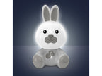 RetailSync:10127 Chicco Dreamlight Bunny