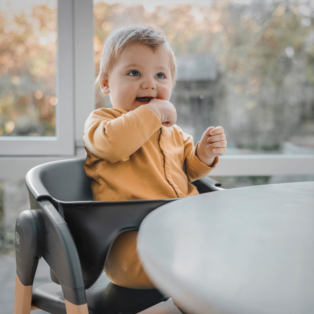 RetailSync:10874 BabyGo Levels Highchair