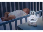 RetailSync:10128 Chicco Dreamlight Bunny