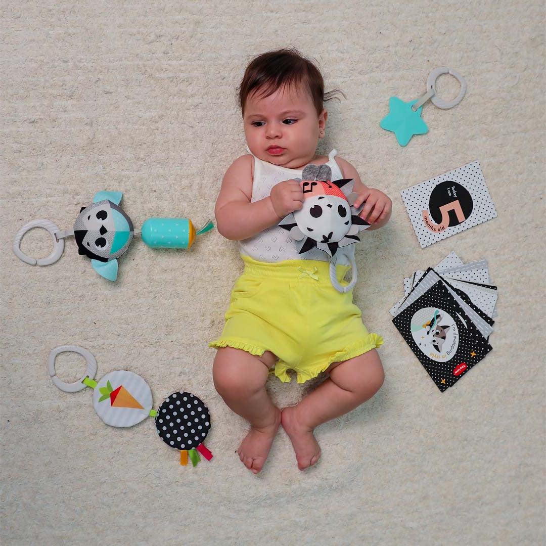 RetailSync:10377 Tiny Love Gift Set