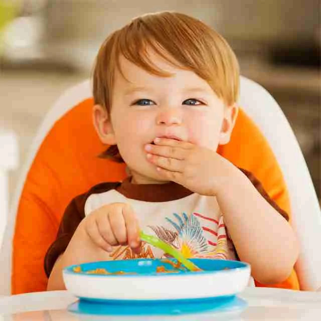 Munchkin Stay Put Suction Plate