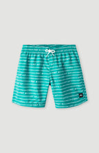 RetailSync:11389 O'Neill Swim Shorts Boys 4