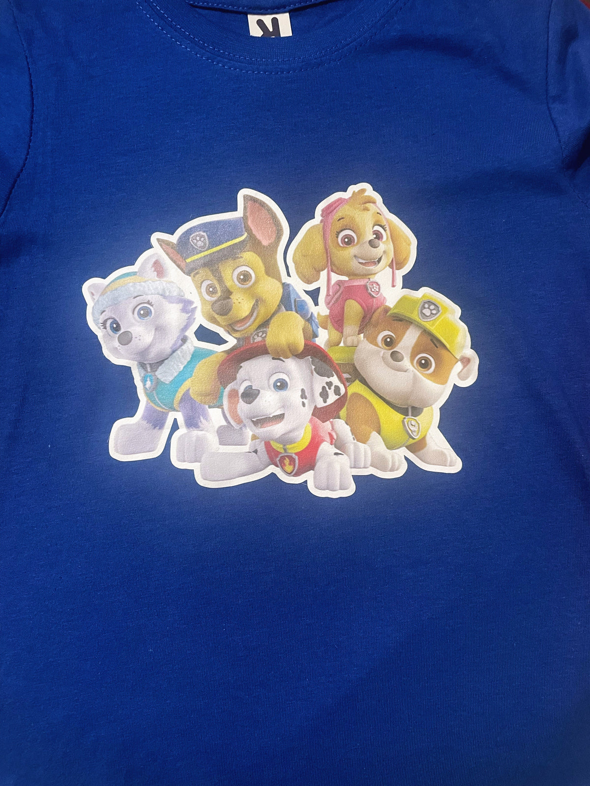RetailSync:12048 Lge T-Shirt 4yrs Paw Patrol