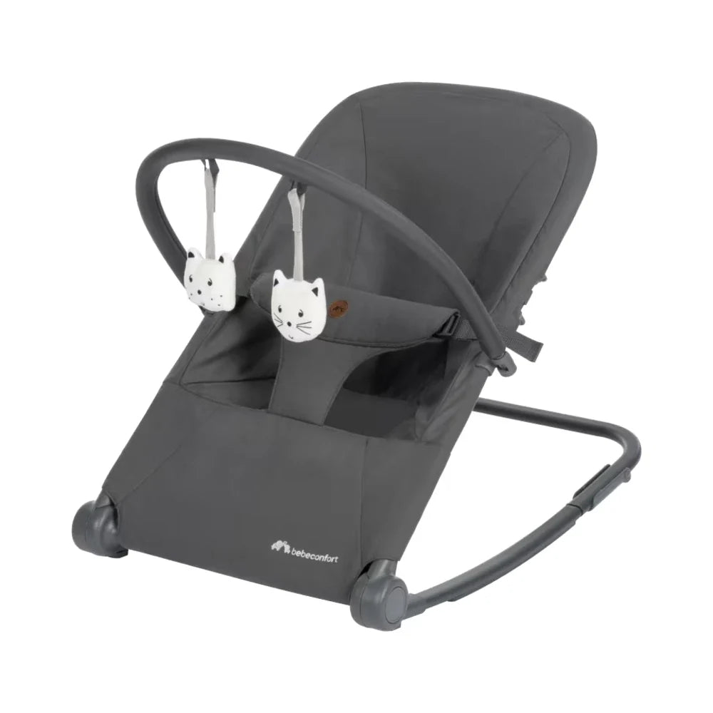 RetailSync:14304 Bebe Confort Aster Bouncer