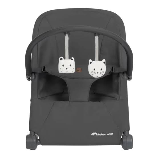 RetailSync:14307 Bebe Confort Aster Bouncer