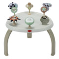 RetailSync:14339 Tiny Love 4 in 1 Jump & Play Activity Centre