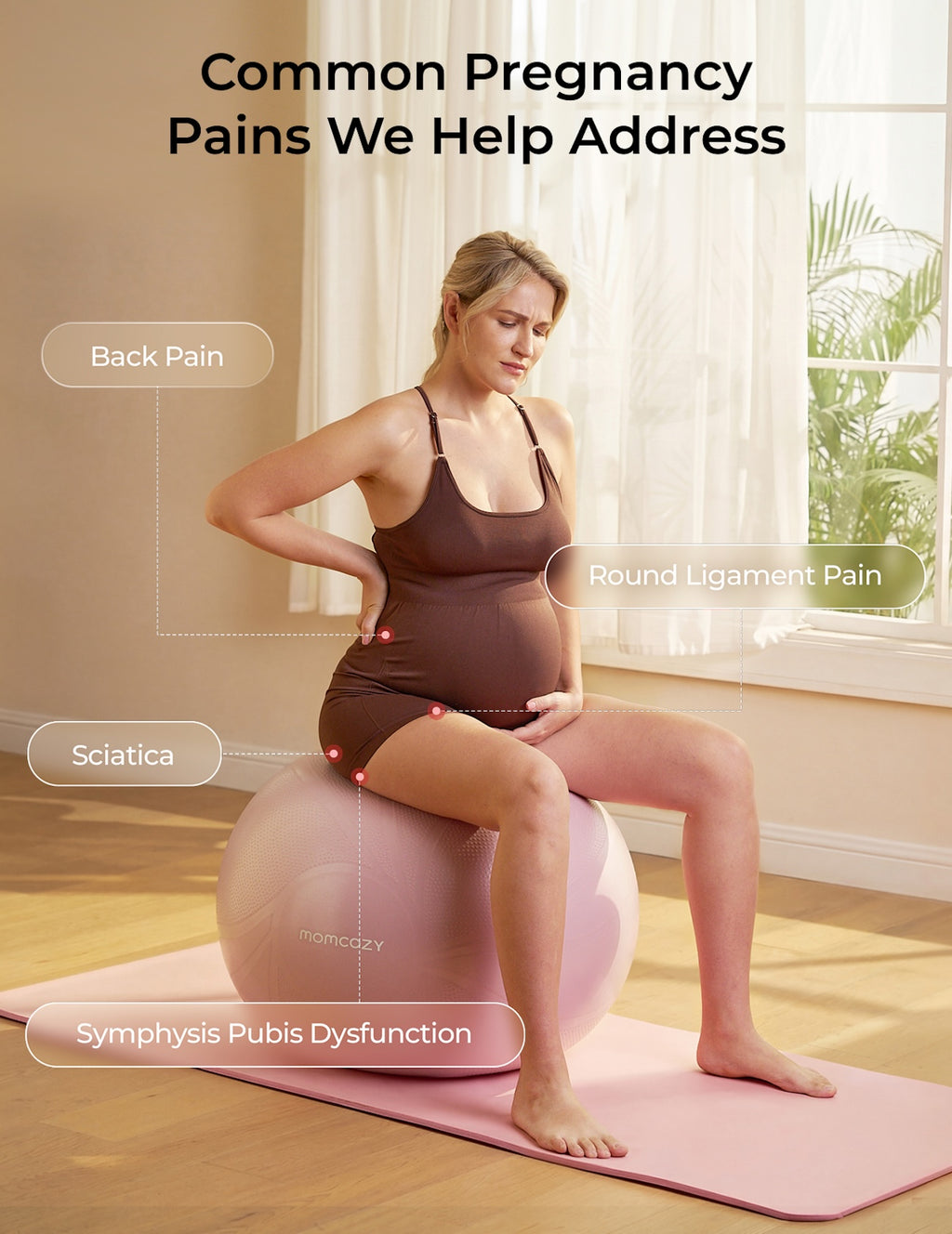 RetailSync:14383 MomCozy Birth Ease Pregnancy Ball Set