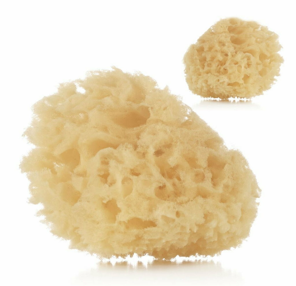 Jane Natural Sponge Twin Pack