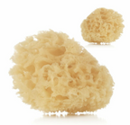 Jane Natural Sponge Twin Pack