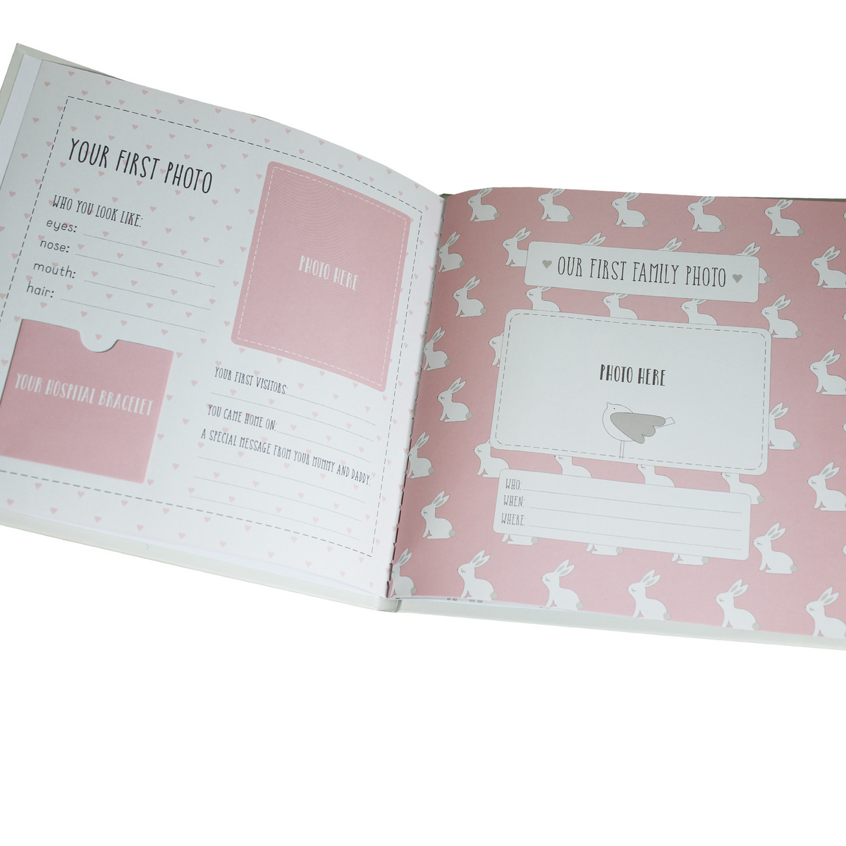 Petit Cheri Record Book