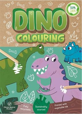RetailSync:9698 Igloo Books Eco Colouring Book Dino